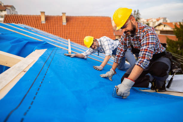 Best Roof Restoration Services  in Fergus Falls, MN