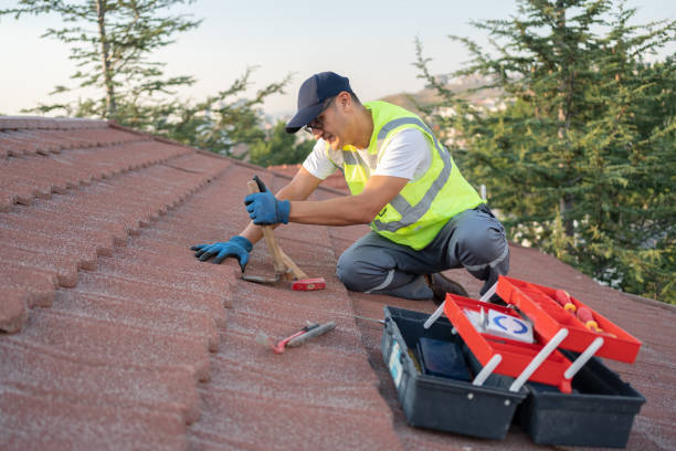 Best New Roof Installation  in Fergus Falls, MN