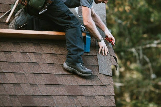 Best Roof Leak Repair  in Fergus Falls, MN