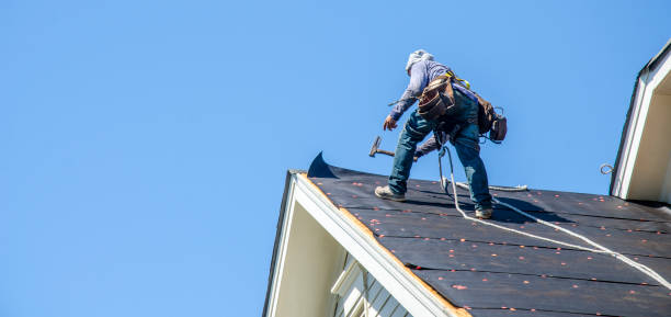 Best Roofing Contractor Near Me  in Fergus Falls, MN